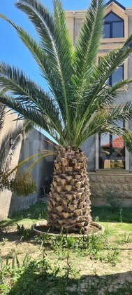 10 otaqlı Həyət evi/Bağ evi, Azadlıq Prospekti m., Bakı