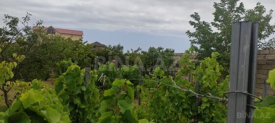 3 otaqlı Həyət evi/Bağ evi, Zirə q., Bakı