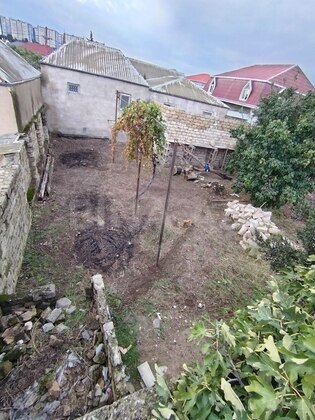 Torpaq Bülbülə q., Bakı