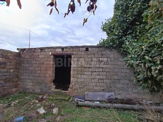 Torpaq Bülbülə q., Bakı