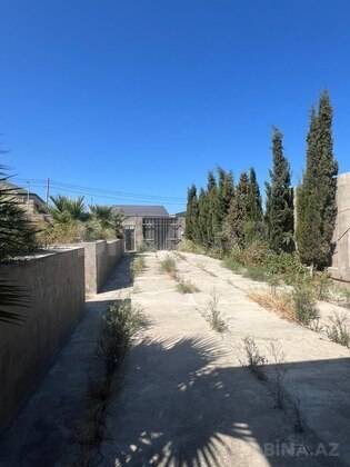 Torpaq Mehdiabad q., Bakı