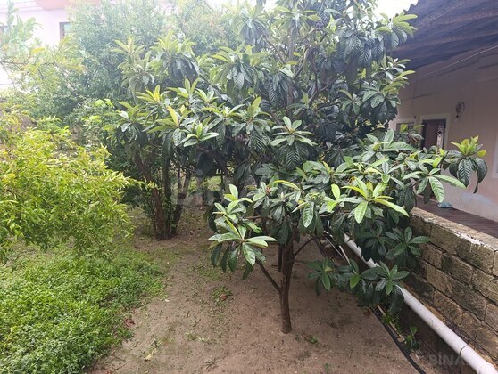 4 otaqlı Həyət evi/Bağ evi, Novxanı q., Bakı