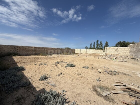 Torpaq Nardaran q., Bakı