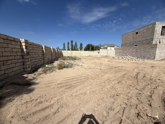 Torpaq Nardaran q., Bakı