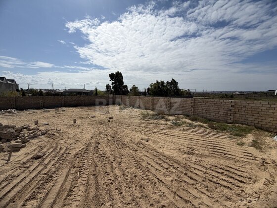 Torpaq Nardaran q., Bakı