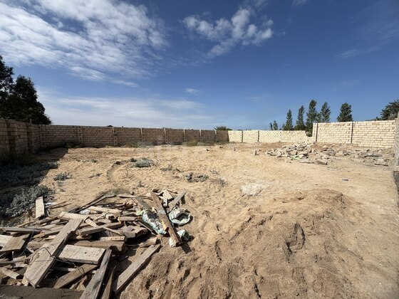 Torpaq Nardaran q., Bakı