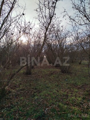 Torpaq Nabran r., Xaçmaz