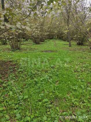 Torpaq Nabran r., Xaçmaz