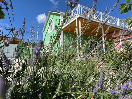 3 otaqlı Həyət evi/Bağ evi, Şamaxı