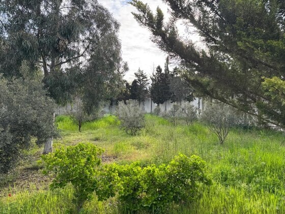 4 otaqlı Həyət evi/Bağ evi, Nardaran q., Bakı