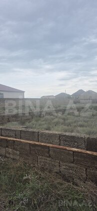 Torpaq Türkan q., Bakı