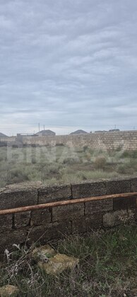 Torpaq Türkan q., Bakı