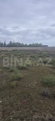 Torpaq Türkan q., Bakı