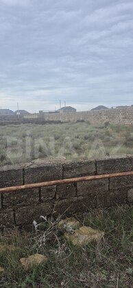 Torpaq Türkan q., Bakı