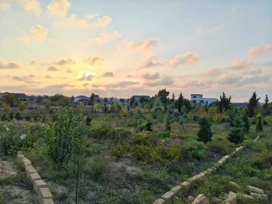 Torpaq Nardaran q., Bakı