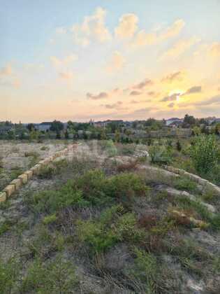 Torpaq Nardaran q., Bakı