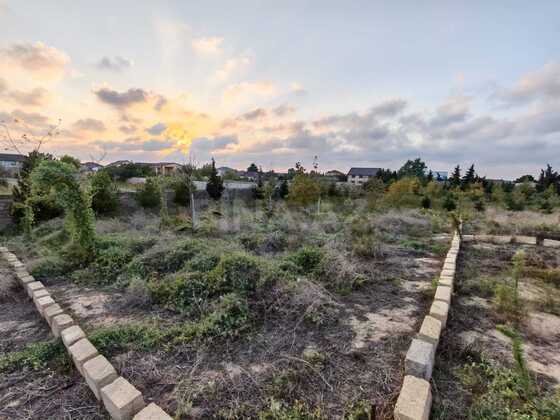 Torpaq Nardaran q., Bakı