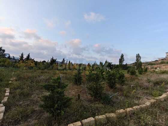 Torpaq Nardaran q., Bakı