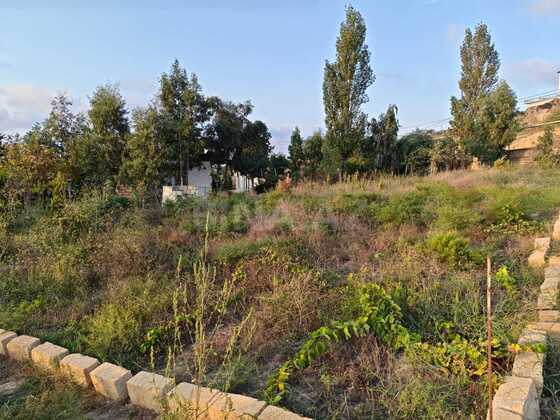 Torpaq Nardaran q., Bakı