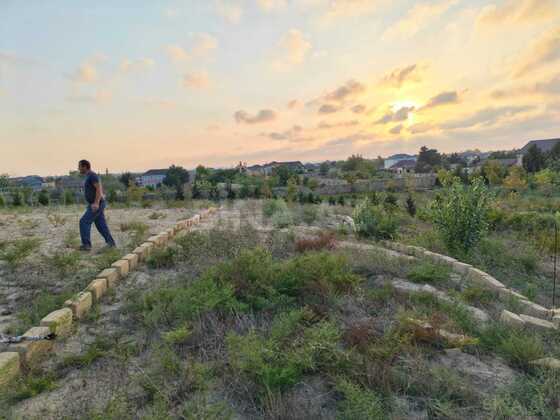 Torpaq Nardaran q., Bakı