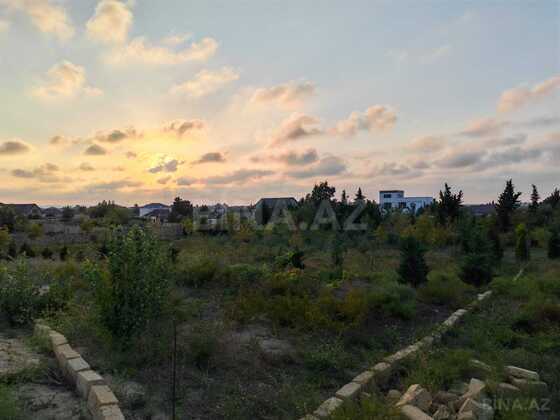 Torpaq Nardaran q., Bakı