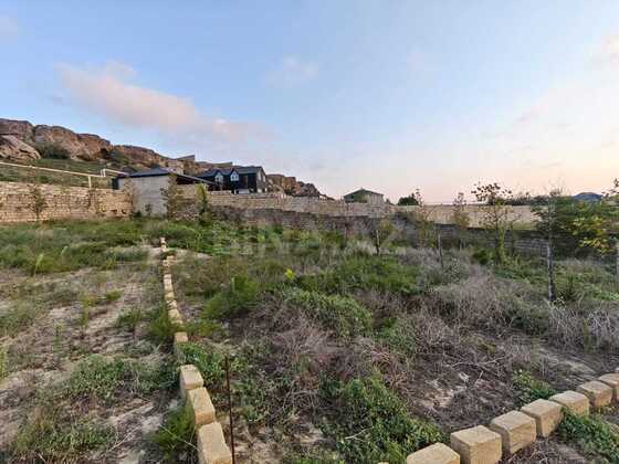Torpaq Nardaran q., Bakı