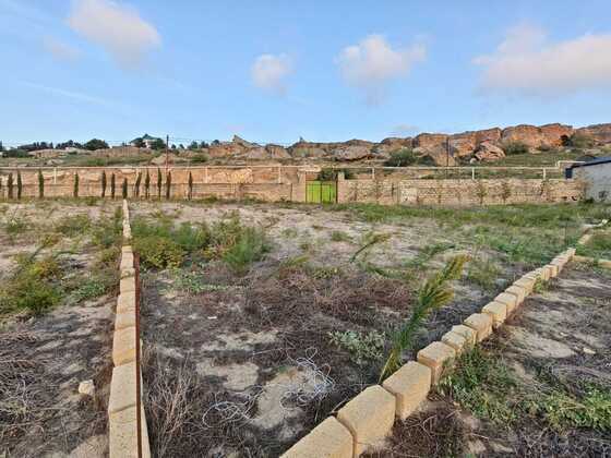 Torpaq Nardaran q., Bakı