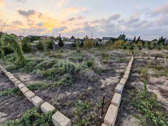 Torpaq Nardaran q., Bakı