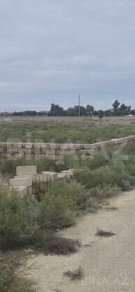 Torpaq Türkan q., Bakı