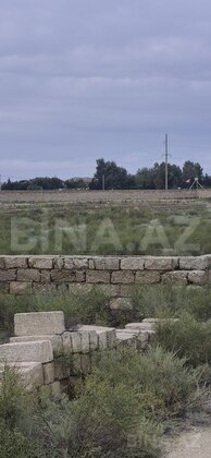 Torpaq Türkan q., Bakı