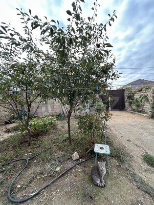 4 otaqlı Həyət evi/Bağ evi, Binə q., Bakı