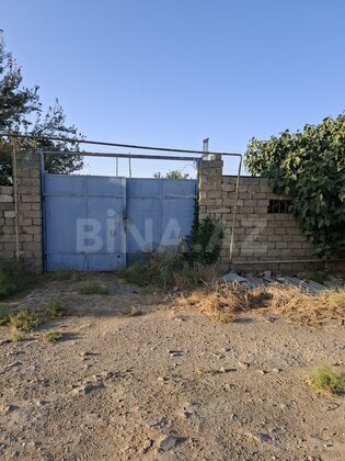 Torpaq Ramana q., Bakı