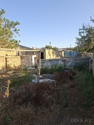 Torpaq Ramana q., Bakı