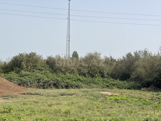 Torpaq Zaqatala
