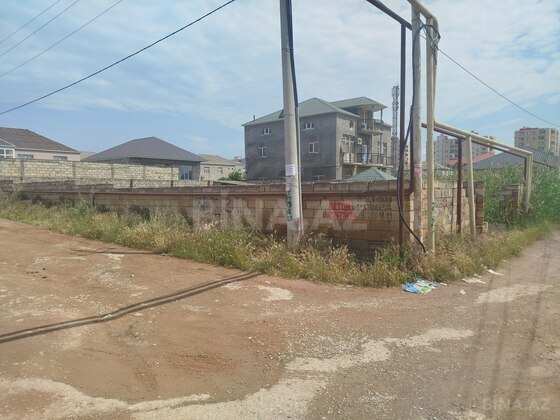 Torpaq Məmmədli q., Bakı