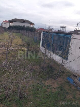 Torpaq Albalılıq q., Bakı