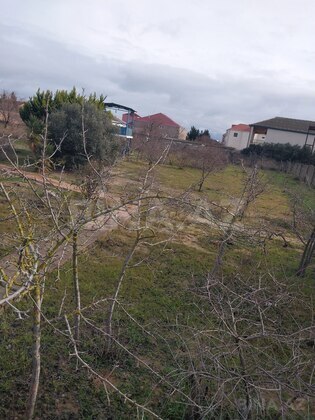 Torpaq Albalılıq q., Bakı