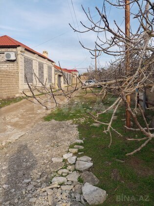 Torpaq Albalılıq q., Bakı