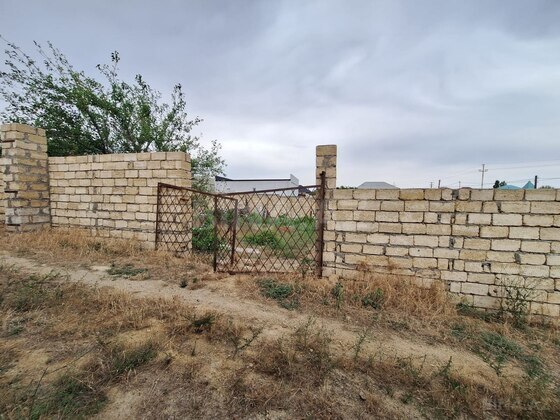 Torpaq Novxanı q., Bakı