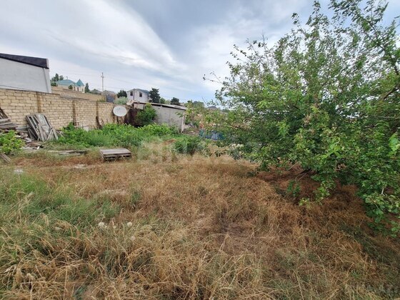 Torpaq Novxanı q., Bakı