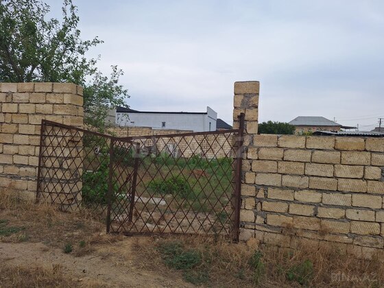 Torpaq Novxanı q., Bakı