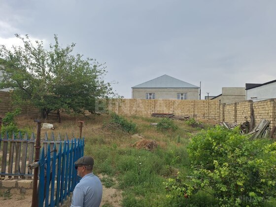 Torpaq Novxanı q., Bakı