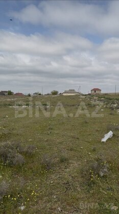 Torpaq Türkan q., Bakı