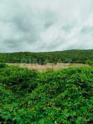 Torpaq Quba