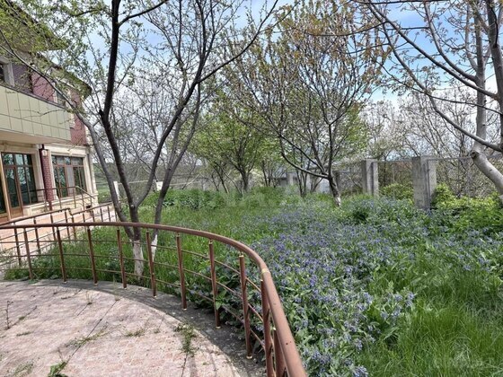 8 otaqlı Həyət evi/Bağ evi, Şamaxı