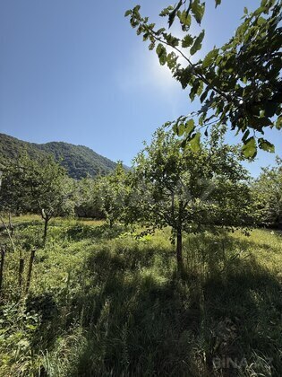 Torpaq İsmayıllı