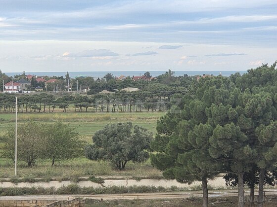 Torpaq Fatmayı q., Bakı