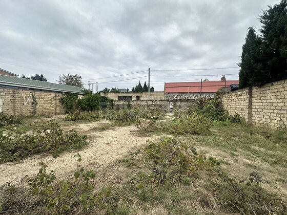 Torpaq Novxanı q., Bakı