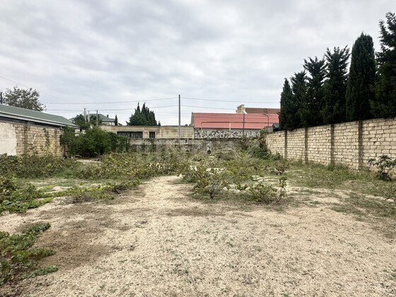 Torpaq Novxanı q., Bakı