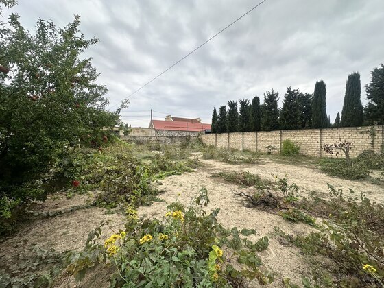 Torpaq Novxanı q., Bakı